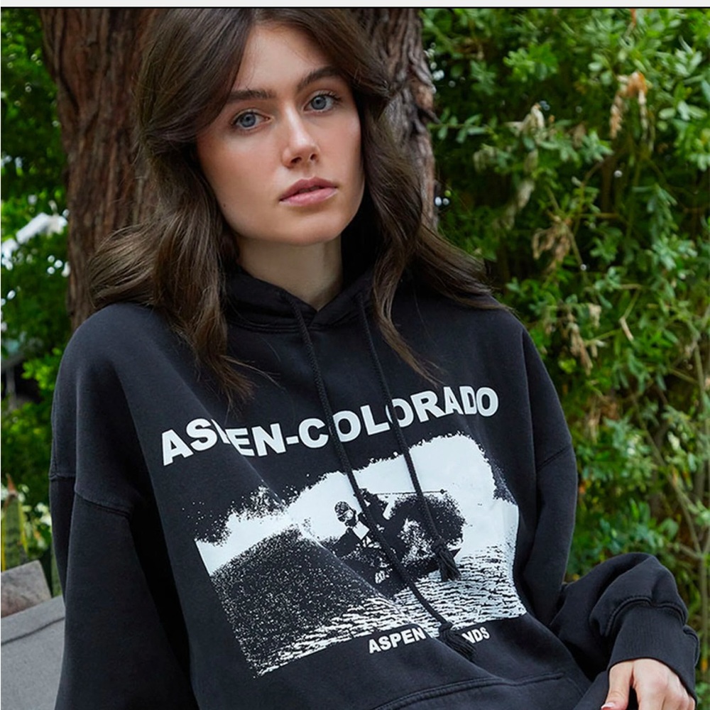 Brandy Melville Aspen Hoodie Good Pre-Loved Condition!